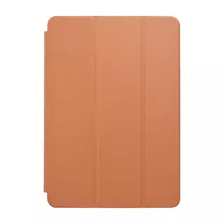 Tablettok iPad 2019 10.2 (iPad 7) - barna smart case